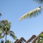 Veranda Belle Mare Hotel