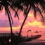 Tamarind Beach Hotel & Yacht Club