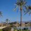 The McCormick Scottsdale