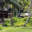 Paradise Sun