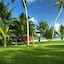 Paradise Sun