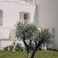 Masana Algarve