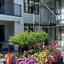 The Glebe Apartments