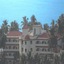 Dolphin Bay