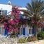 Anemos Studios