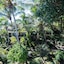 Hibiscus Boutique Hotel
