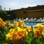 Hotel Hacienda Don Cenobio