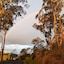 River Vineyard Retreat
