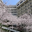 Nagasaki Hotel Yataro