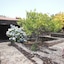 Casa Rural Aborigen Bimbache