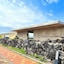 Phoenix Island
