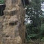 The Springs Resort And Spa At Arenal