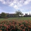 Popilia Country Resort
