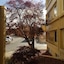 Ramada By Wyndham Downtown Spokane