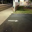 Jumping Frog Motel