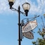 Bella Capri Inn