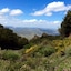 Enis Monte Maccione