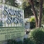 Sarah's Seaside