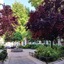 Hotel Almona