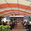 New Camping Le Tamerici