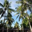 Gili Trawangan Oasis