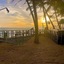 Dalawella Beach Resort