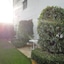 City Hotel Albrecht