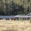 Forest Walks Lodge