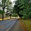 Chestnut Tree Holiday Apartments