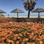 Shark Bay Seafront Apartments
