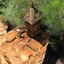 Ochre Moon B&B