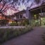 Apollo Bay Eco Yha