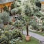 Garden Boutique Hotel Berlin - Mitte