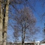 Stolls Hotel Alpina