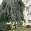 Airport Apartment Köln Bonn