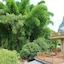 Moondance Hotel