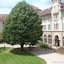 Domaine Lyon Saint Joseph