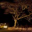 Severin Safari Camp