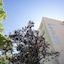 Hotel Dafne