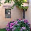 Il Relais Dell'abbazia
