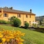 B&B Glicine