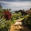 Yasmin Hill Longevity Resort - Hotel Galavilla