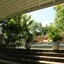 Beach Grove Villas
