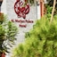 Al Murjan Palace Hotel