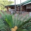 Chestnut Country Lodge