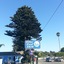 Blue Seal Inn