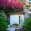 Green Organic Villas