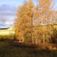 Aspen Hotel Soldotna