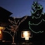 Sakura Guest House - Hostel