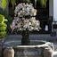 Hotel Boutique Casa De Campo